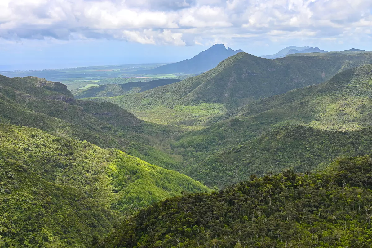 Black River Gorges National Park