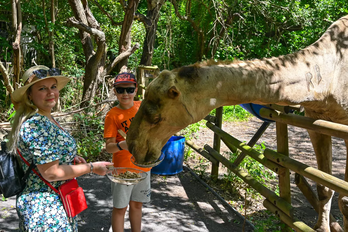 Casela Nature Park