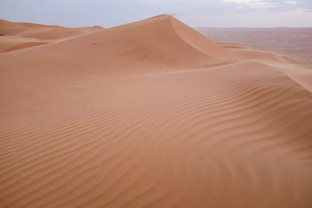 sachara tunisia