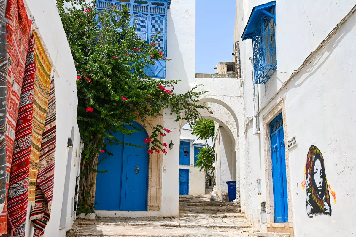 sidi bou said