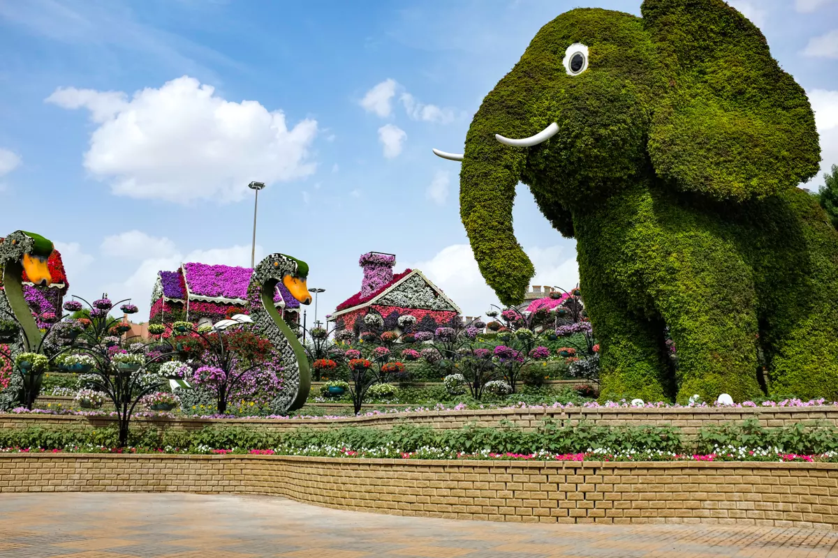 Dubai Miracle Garden