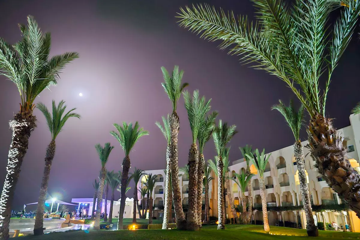 Hammamet