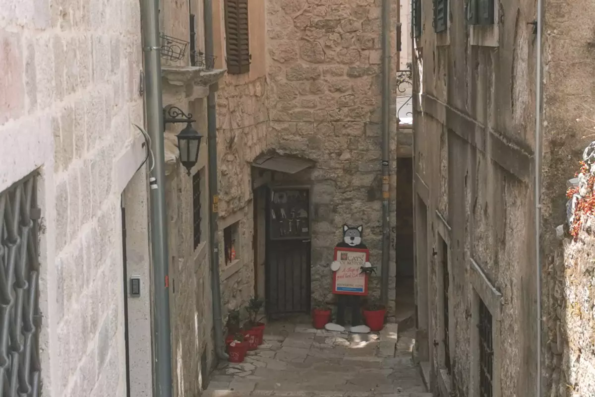 Kotor Cats Museum