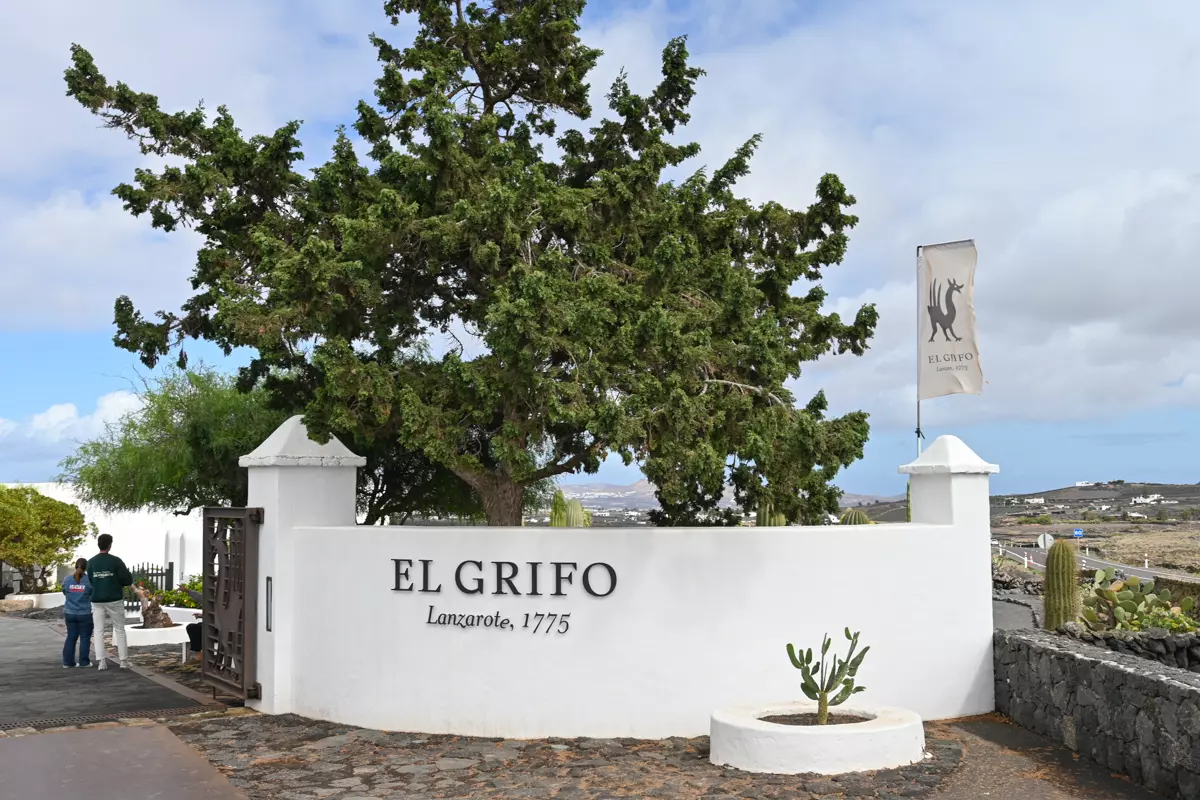 Lanzarote Wine Museum