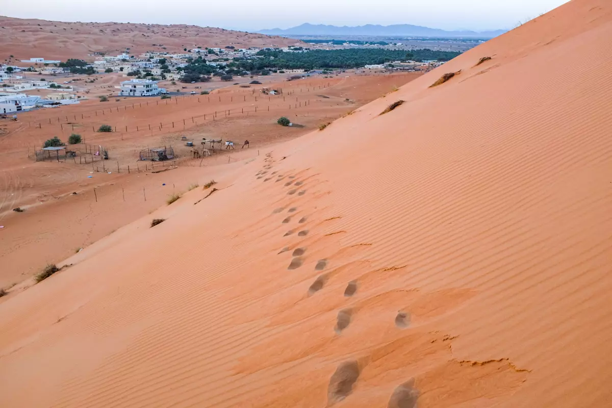 Wahiba Sands Guide