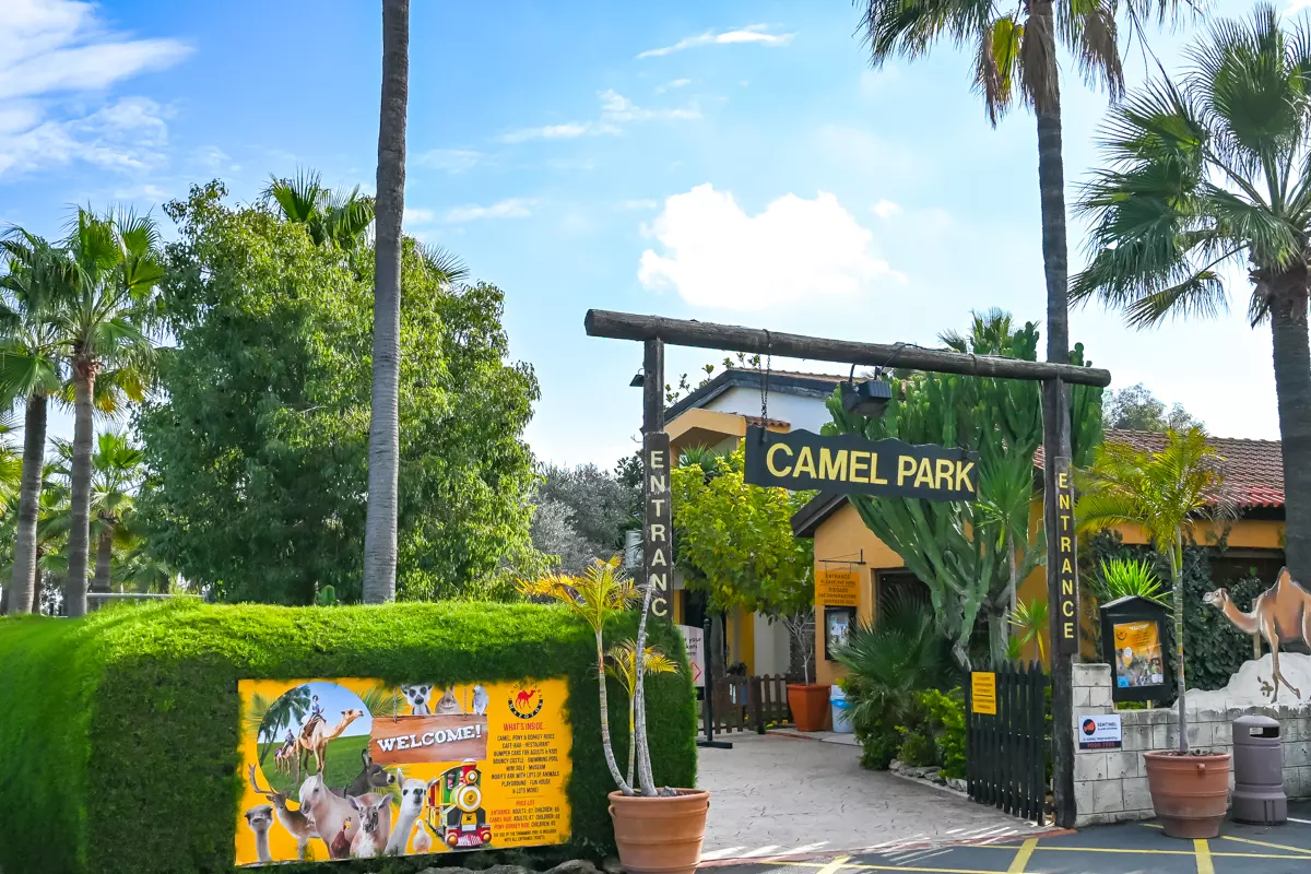 Camel Park