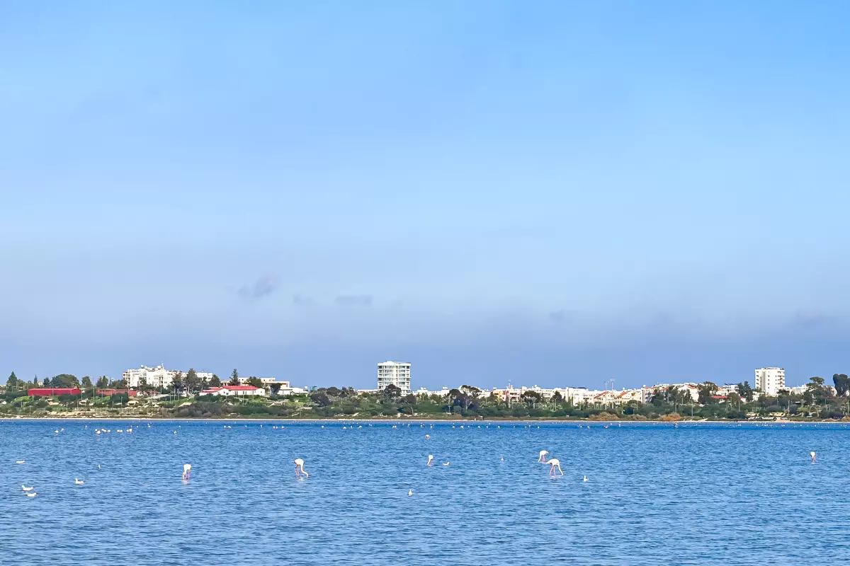 Larnaca Salt Lake