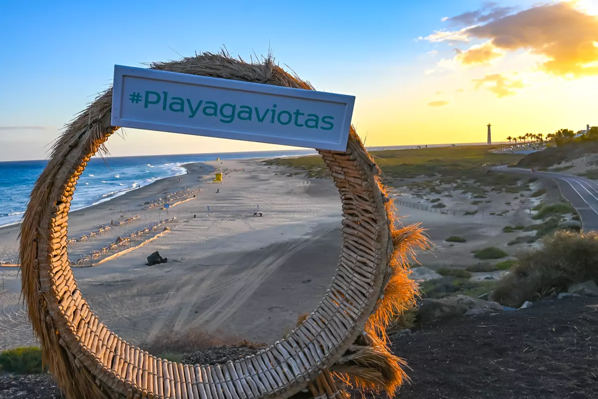 Playa gaviotas