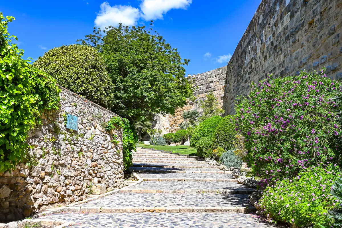 Archaeological Walk