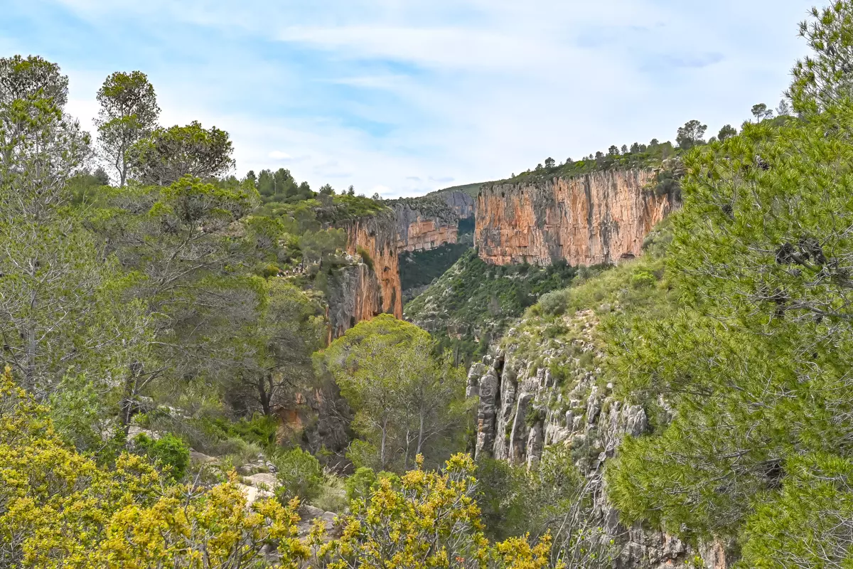 View of the limestone cliffs and pine-covered valley near Chulilla, Spain.