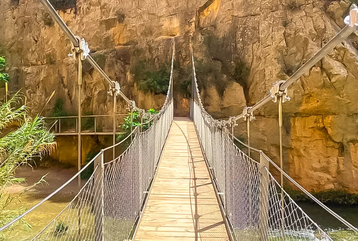 puentes colgantes hanging bridge