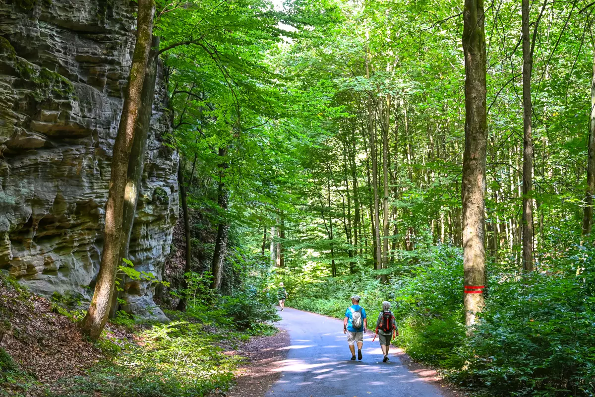 Tourists hiking trail near sandstone cliffs of Hruba Skala in Bohemian Paradise