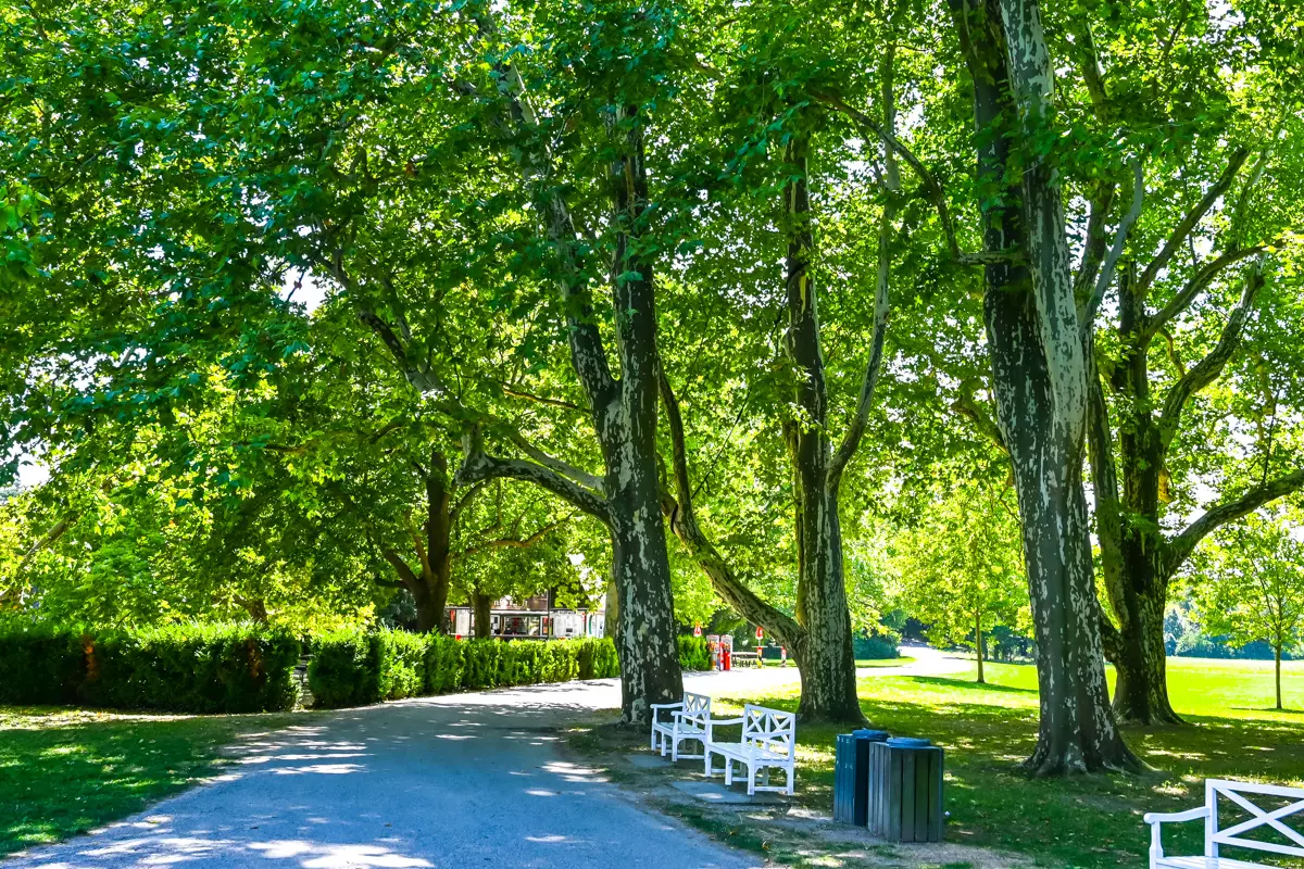 Laxenburg Castle park walking path with trees and greenery