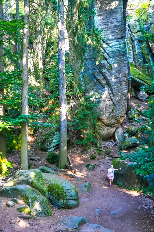 Bohemian Paradise landscape with Prachov sandstone rock formations