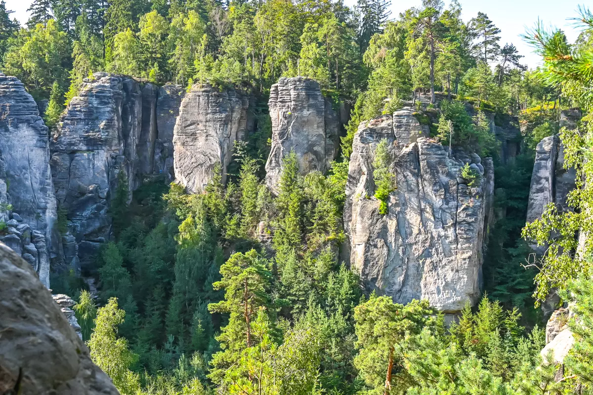 Prachov Cliffs with forested landscape