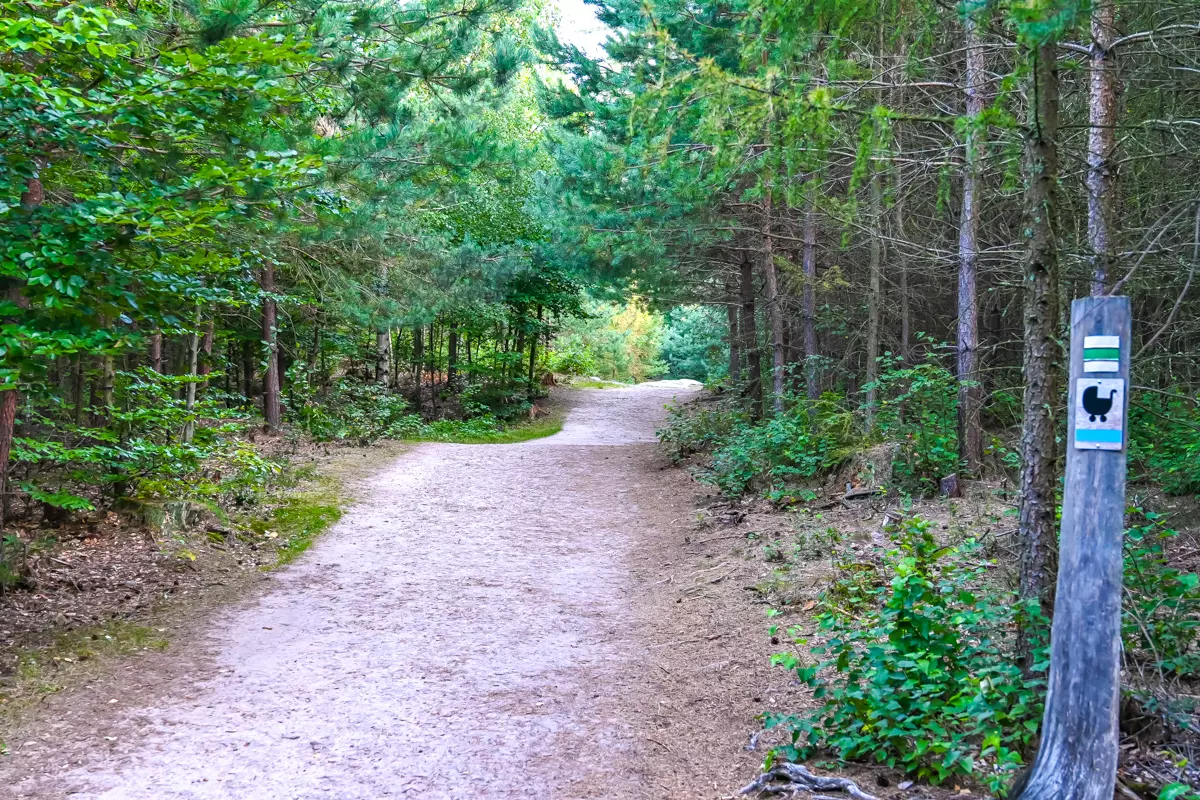 Prachov Rocks walking trail suitable for strollers